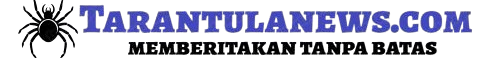 tarantulanews.com
