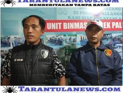 Jelang Malam Tahun Baru 2025, Black Horse Ops Polsek Pallangga Sita Ratusan Miras Ilegal di Dua Lokasi Berbeda