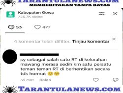 Viral Di TikTok Terkait Lurah Mawang Pecat RT Dan Ketua Posyandu Menuai Banyak Komentar 