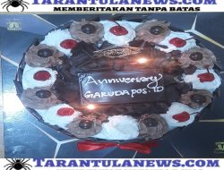 Beberapa Pimpinan Media Ikut Berbagi Di Hari Anniversary Media Garudapos.id