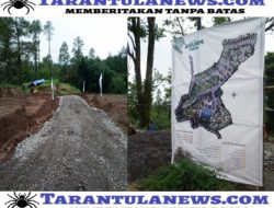Presiden TIB Sebut Ada Mafia Tanah di Belakang Usaha Kapling Dalam Kawasan Hutan