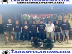 Pelaku Curat di Kantor Camat Sinjai Utara Telah Diamankan SatRes Polres Sinjai