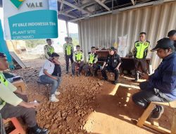 Tambang Di Sebaseba Labrak Aturan..! Pemprov Sulteng Minta PT. Vale Segera Ganti Rugi.