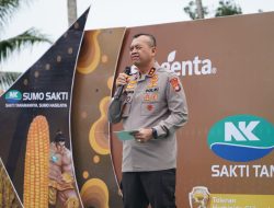 Expo dan Panen Raya di Tommo: Kapolda Sulbar Dorong Peningkatan Pertanian dengan Pendekatan Keamanan Pangan