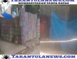 Gudang Penimbunan Solar Di Wilayah Polsek Bajeng Lancar Beroperasi