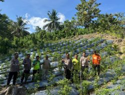 Wakapolres Majene Tinjau Persiapan Lomba Ketahanan Pangan di Desa Adolang Dhua