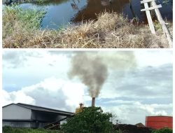 PT. Bumi Perkasa Gemilang Diduga Cemari Sungai Kapuas, Ancam Kesehatan Warga Sekitar