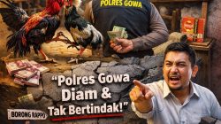 Judi Sabung Ayam di Wilayah Hukum Gowa merajalela: Aktivis desak Kapolres Gowa jangan pasif
